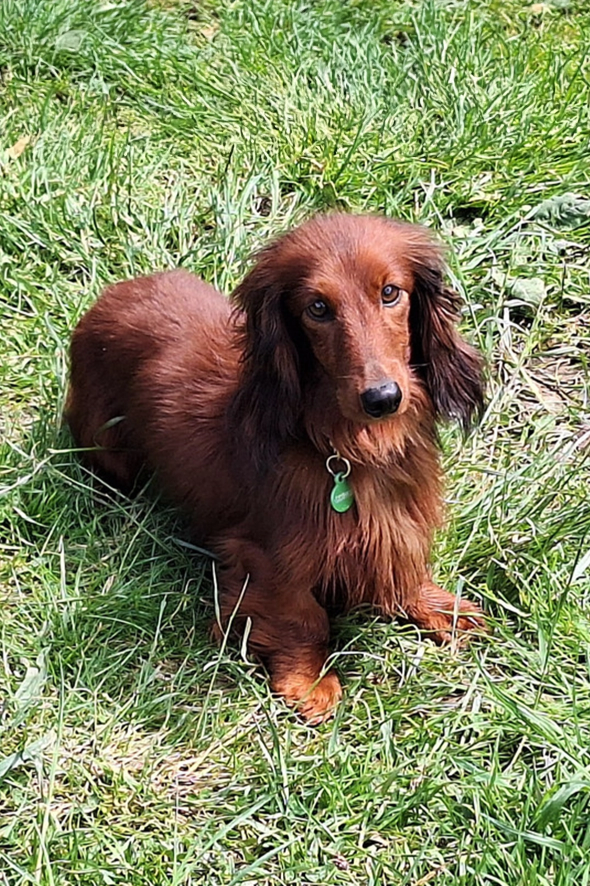 1764797225-reveur.webp 1764797225-reveur.webp