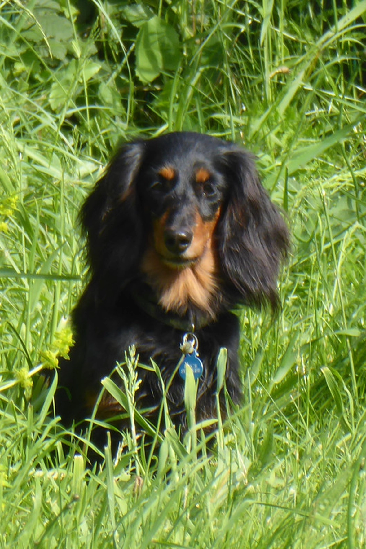 1764797323-Myrtille.webp 1764797323-Myrtille.webp