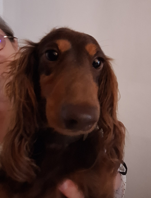 1764798423-20250821-155539.jpg 1764798423-20250821-155539.jpg