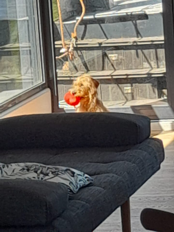 1764802858-IMG-20251117-WA0007.jpg 1764802858-IMG-20251117-WA0007.jpg