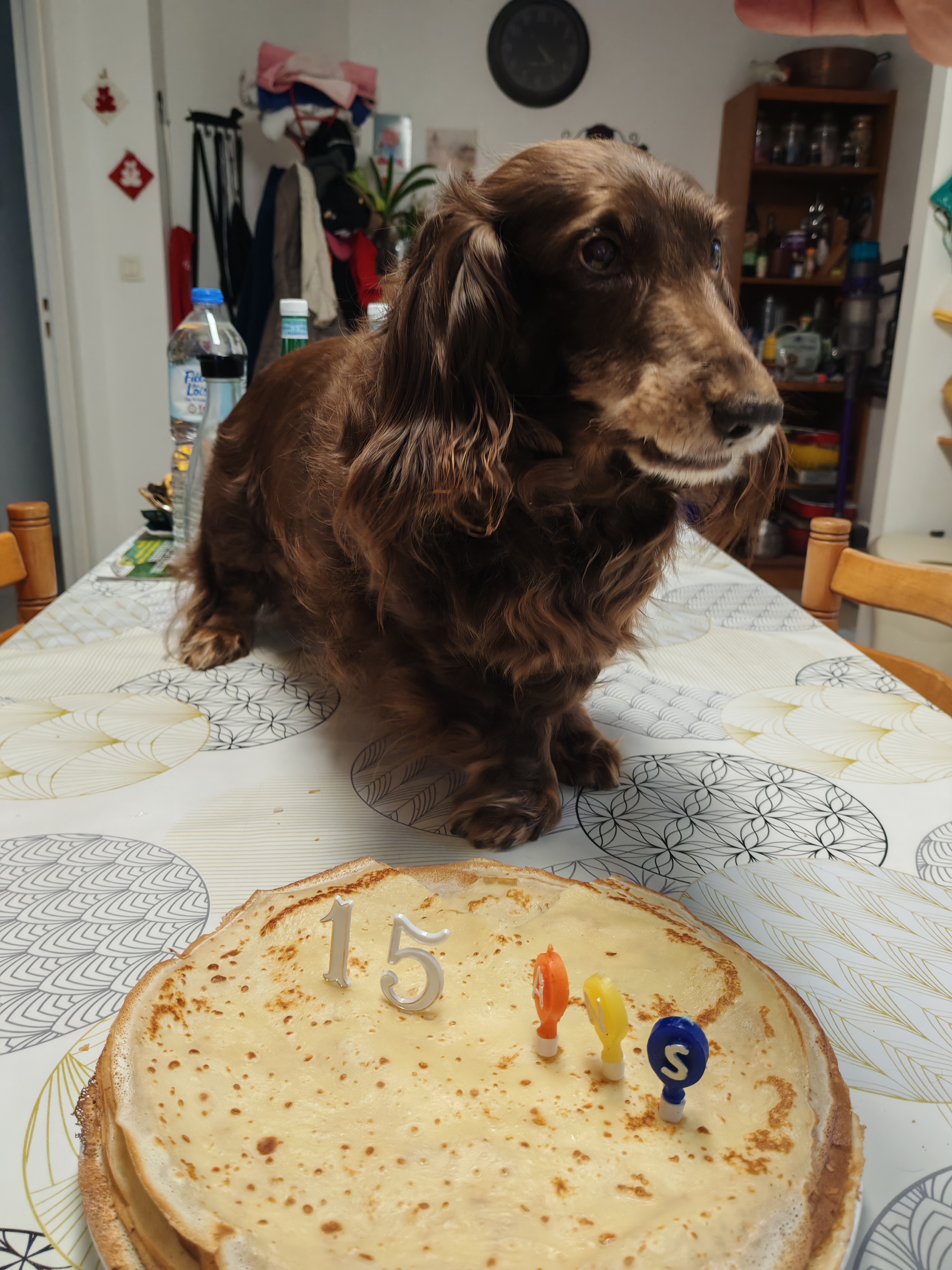 IMG 20260118 162738 IMG 20260118 162738