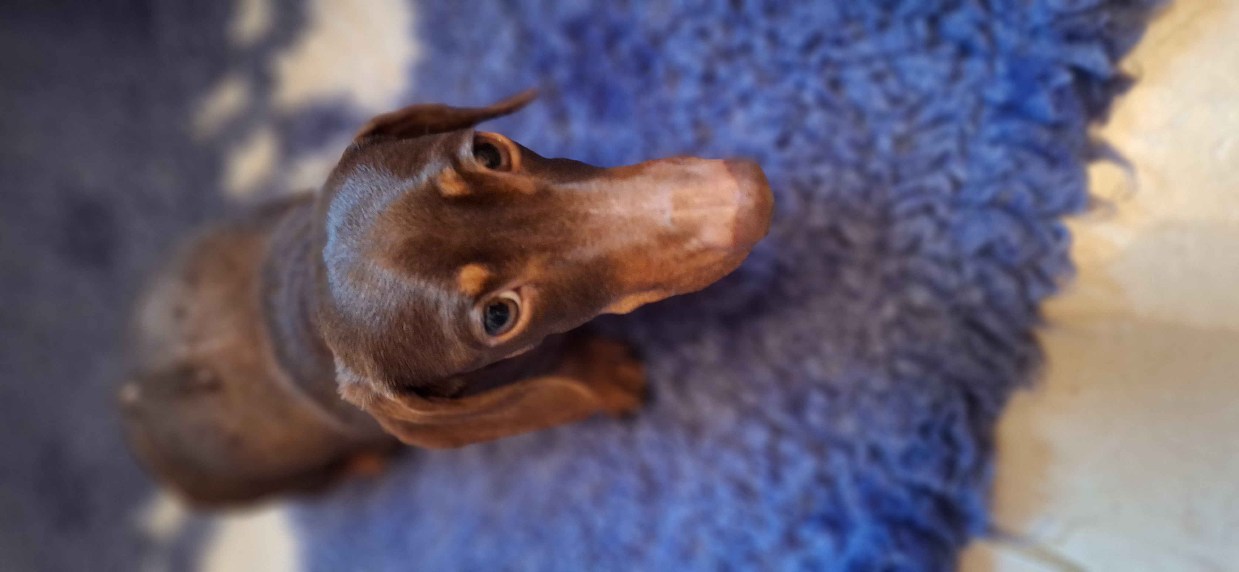 20260120 091550 20260120 091550