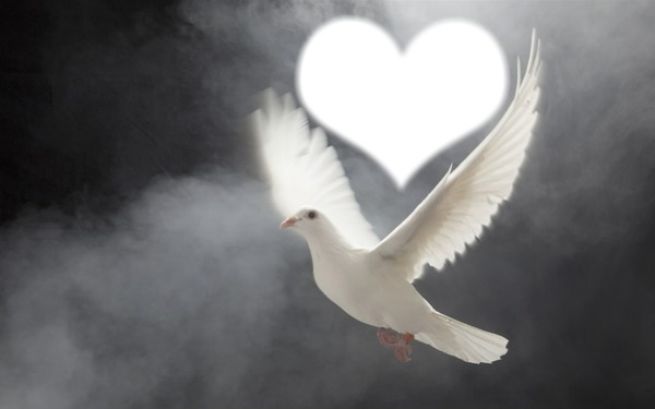 1012660 43047 1012660 43047