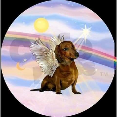 Deces arc en ciel 8 Deces arc en ciel 8