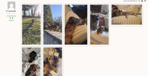 Capture d’écran 2026 01 30 à 08.44.54