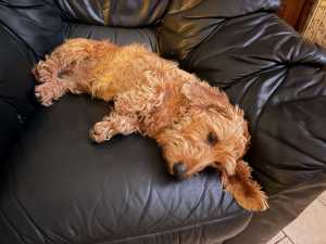 IMG 1347 IMG 1347
