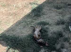 IMG 1712 IMG 1712