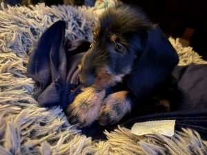 IMG 1779 IMG 1779
