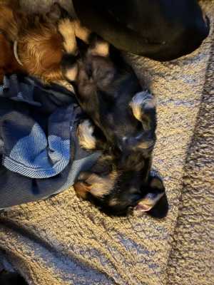 IMG 1803 IMG 1803
