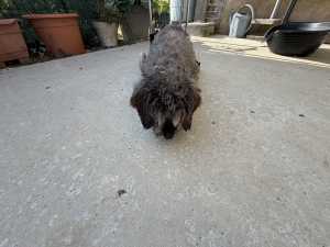 IMG 2193 IMG 2193