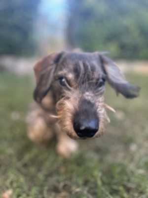 IMG 4275 IMG 4275