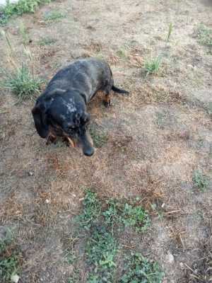 image0000051 image0000051