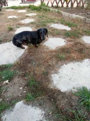 image0000001 image0000001