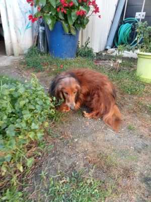 image0000071