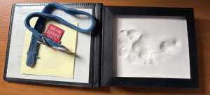 IMG 4793 IMG 4793