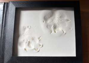 IMG 4796 IMG 4796