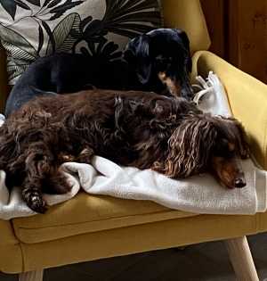 IMG 20260228 072530(1)