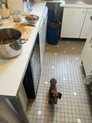 IMG 20260301 WA0001 IMG 20260301 WA0001