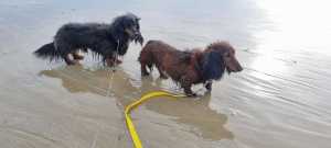 IMG 20260324 WA0030 IMG 20260324 WA0030