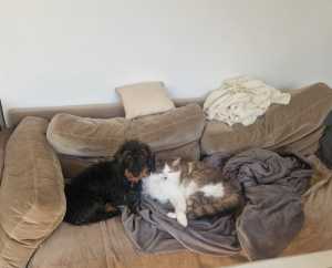 IMG 20260324 WA0011