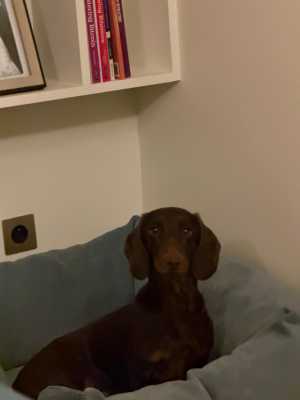 IMG 20260407 WA0001 IMG 20260407 WA0001