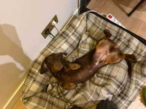 IMG 20260407 WA0006 IMG 20260407 WA0006