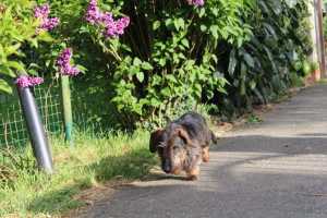 IMG 20260415 WA0014