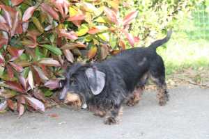 IMG 20260415 WA0017