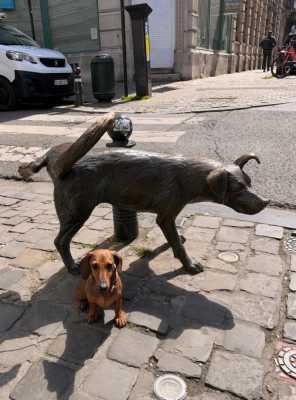 IMG 20260421 WA0000 IMG 20260421 WA0000