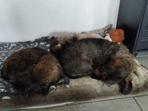 IMG 20260501 WA0044 IMG 20260501 WA0044