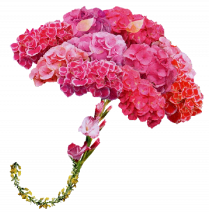 00 parapluie en fleurs 556c7f5