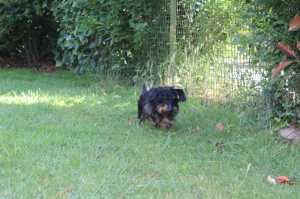 IMG 0472 IMG 0472