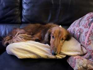 IMG 1267 IMG 1267