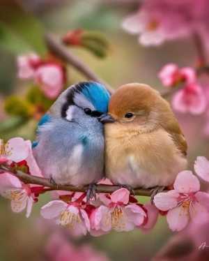 481565915 1062473849251644 2304543444137964442 n 481565915 1062473849251644 2304543444137964442 n