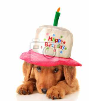 chiot de joyeux anniversaire 400 22631755