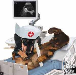 rétablissement (15)