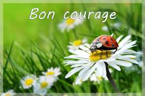 Bon courage