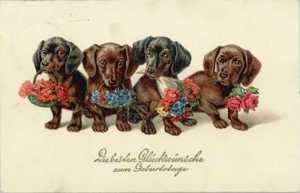 Anniversaire teckel (16)