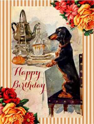 Anniversaire teckel (66)
