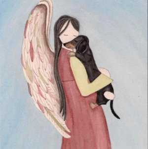 Décès chien (4)
