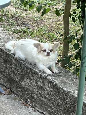IMG 7839
