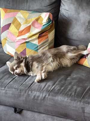 IMG 7734
