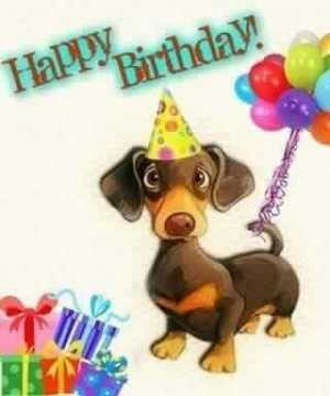 4a8b81807106d3cde7eba1e4b95335db