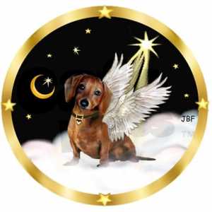 7fb1d0eea4dc595f52e7118f2383401f