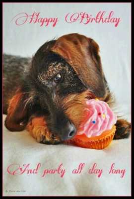 1c0368c71517795f651d4c7e1cc93973