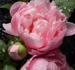 20240617 211838 20240617 211838