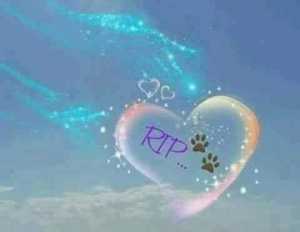 FB IMG 1769332025873 FB IMG 1769332025873