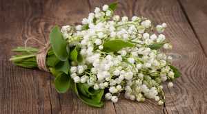 muguet1mai