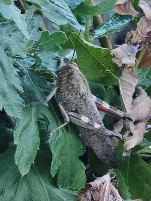 IMG 20260807 201544 IMG 20260807 201544