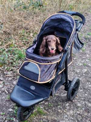 IMG 20260304 162541 IMG 20260304 162541